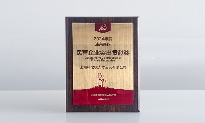 人力资源供应商4008云顶国际 国际凭借人才服务与在区域经济发展中的卓越表现荣膺2024年度浦东新区民营企业奖项